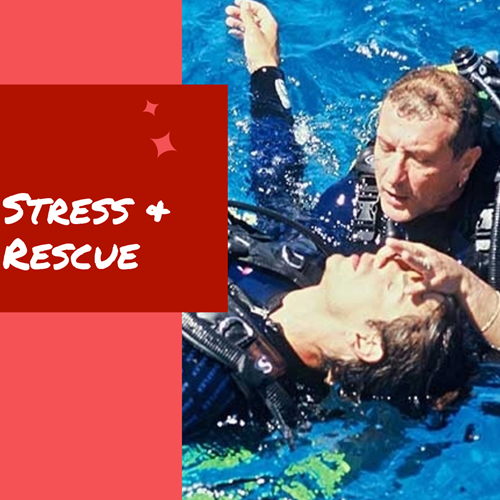Diver Stress and Rescue Digital Kit